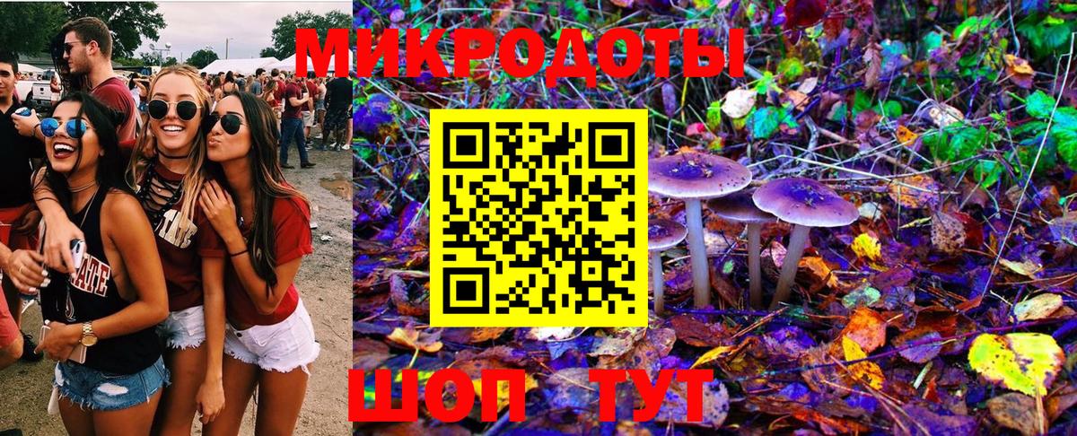 Псилоцибиновые грибы Magic Shrooms  Вход с VPN  Сунжа 